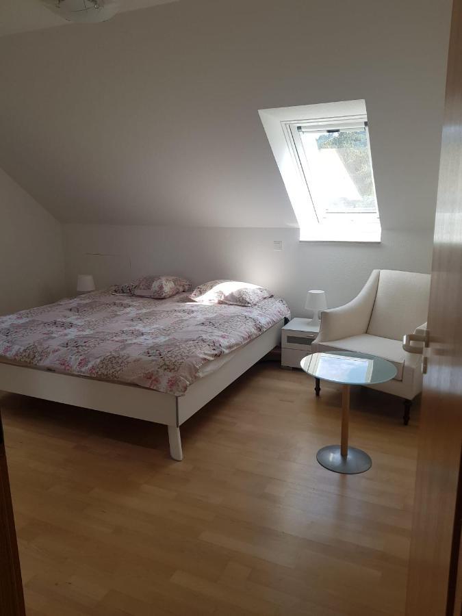 Zimmer Paradiso Busingen am Hochrhein ภายนอก รูปภาพ
