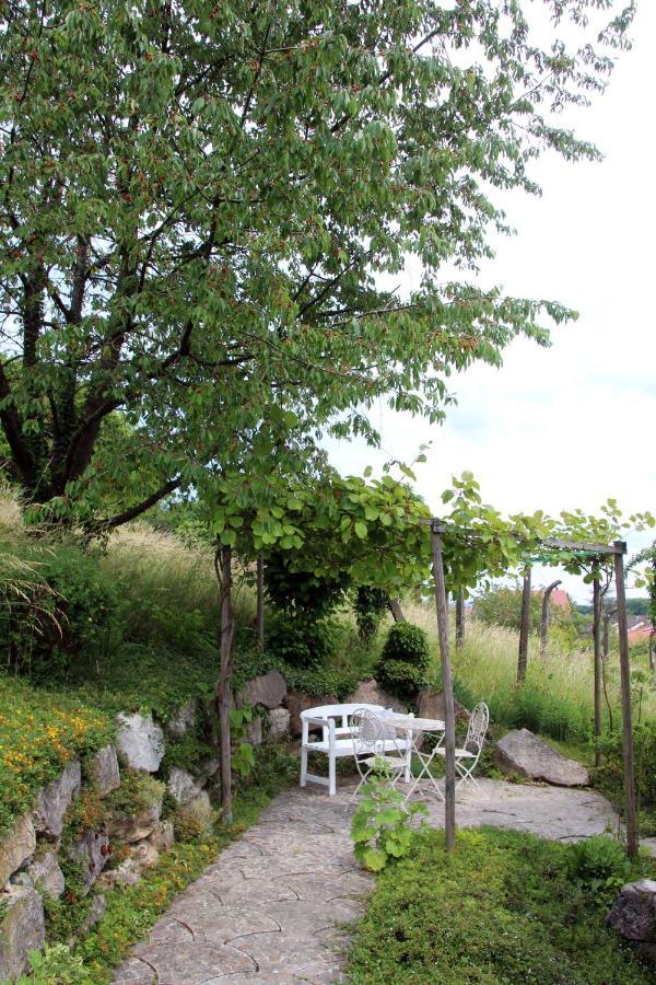 Zimmer Paradiso Busingen am Hochrhein ภายนอก รูปภาพ