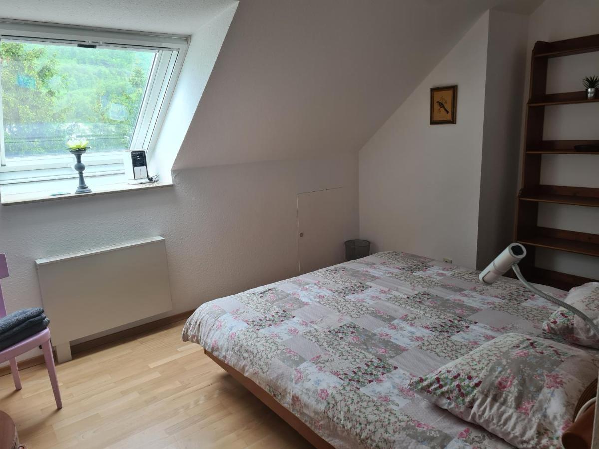 Zimmer Paradiso Busingen am Hochrhein ภายนอก รูปภาพ